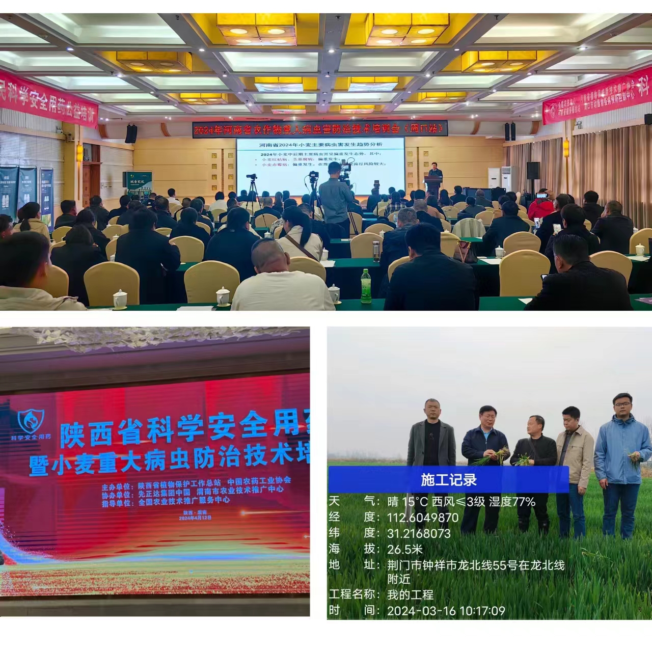 ���ߵ����˿��ֽ�