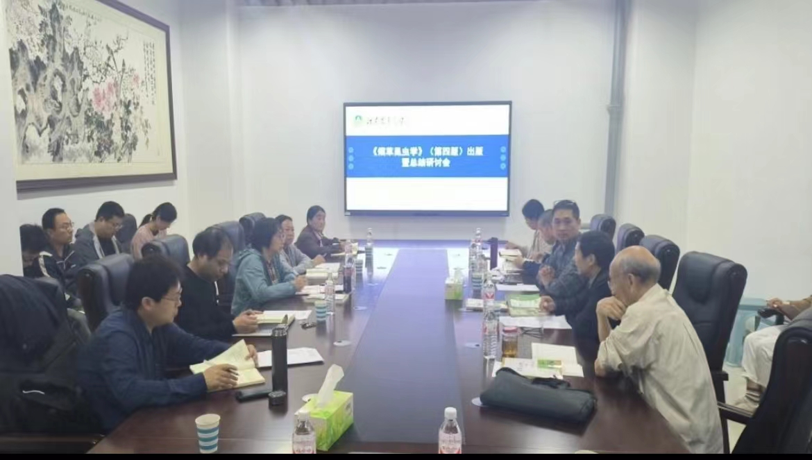 ���ߵ����˿��ֽ�