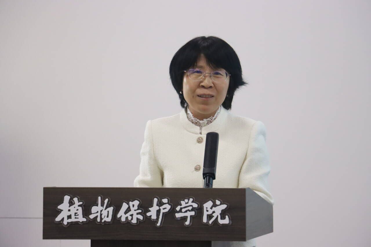 在线德州扑克现金