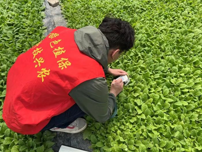 ���ߵ����˿��ֽ�