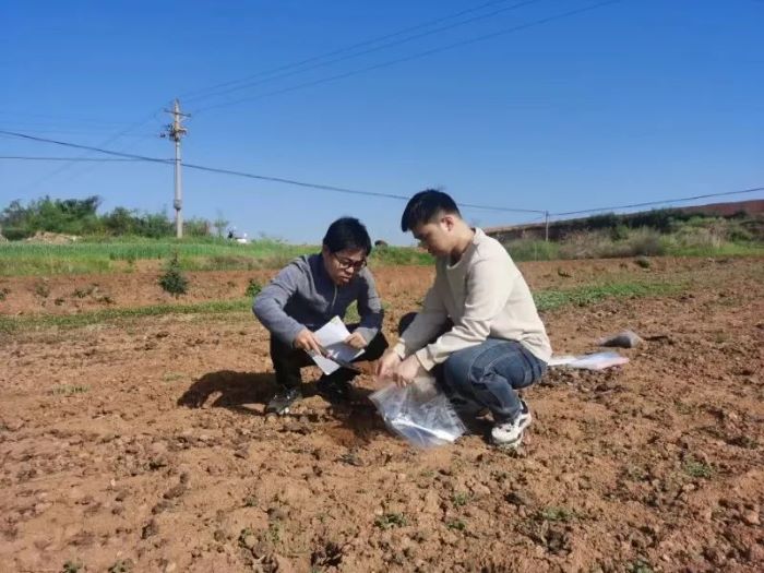 ���ߵ����˿��ֽ�