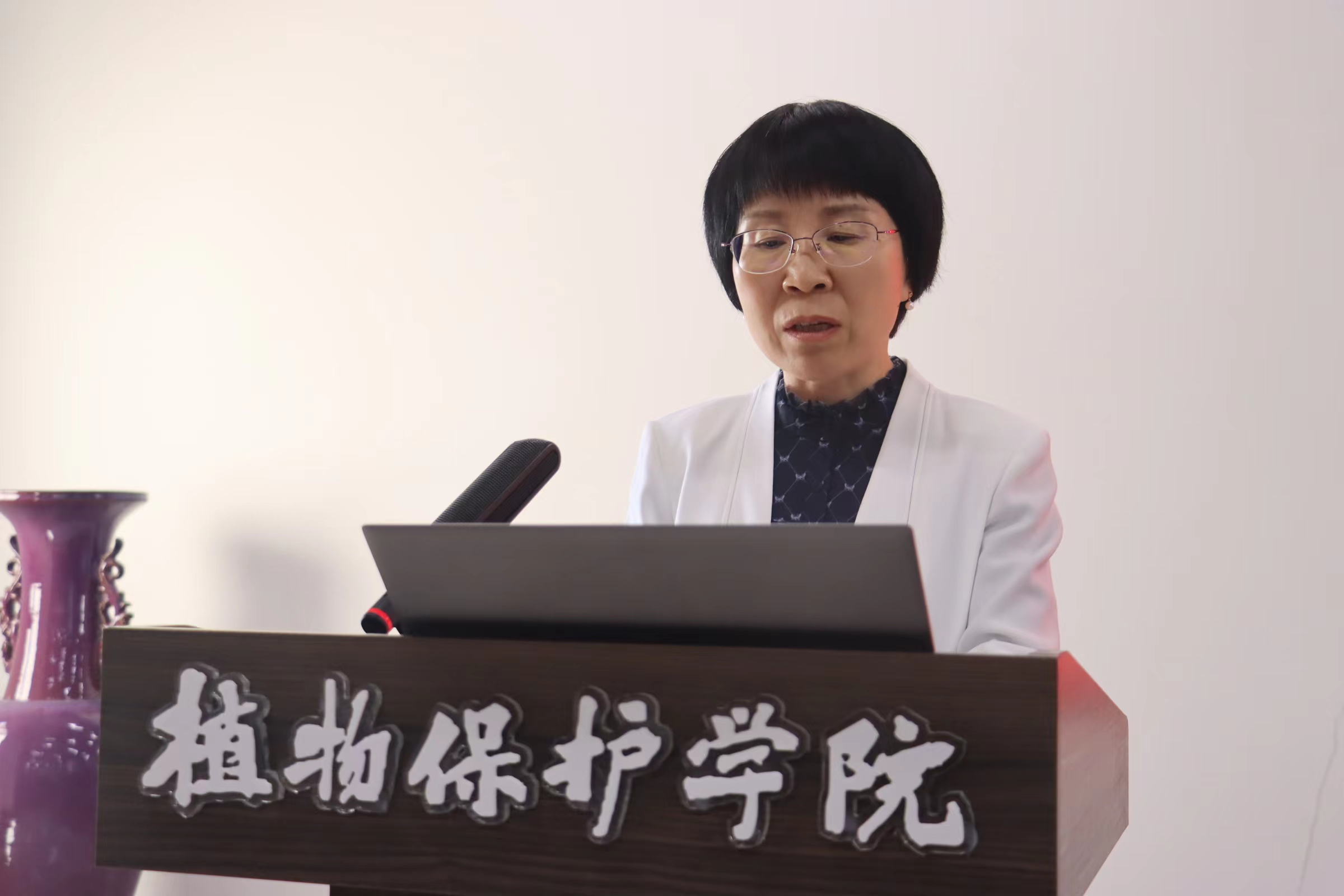 ���ߵ����˿��ֽ�