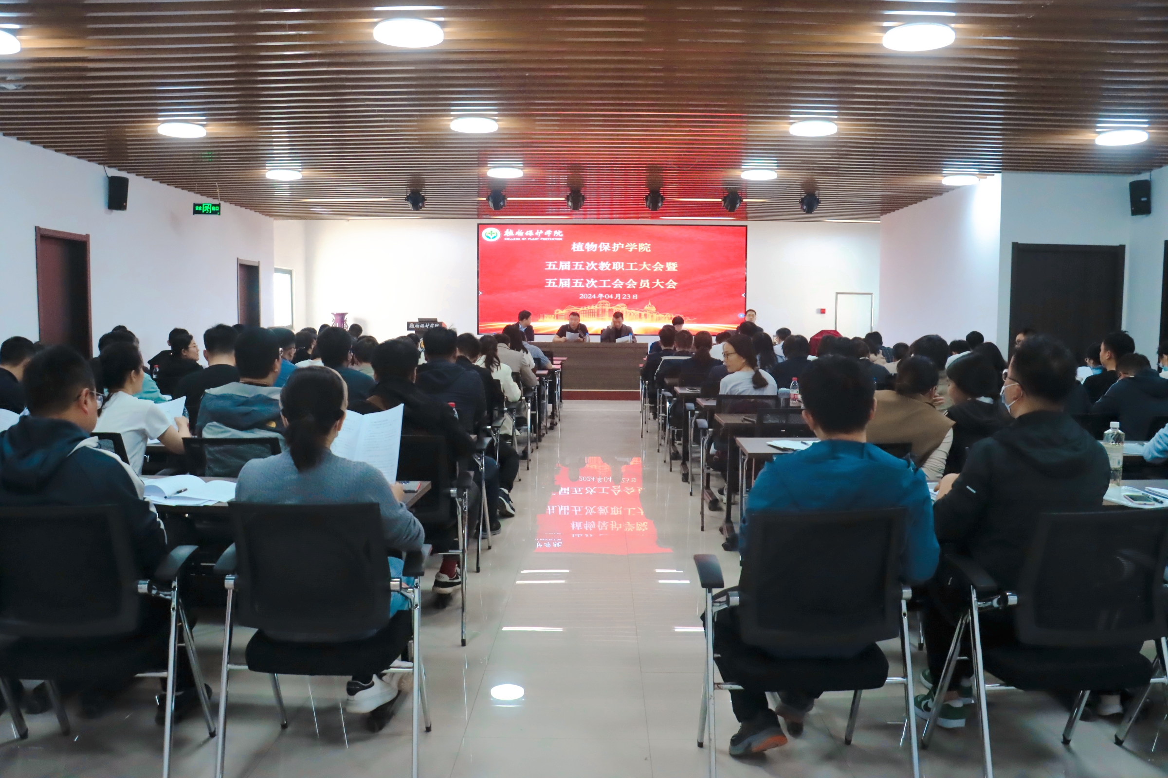 ���ߵ����˿��ֽ�