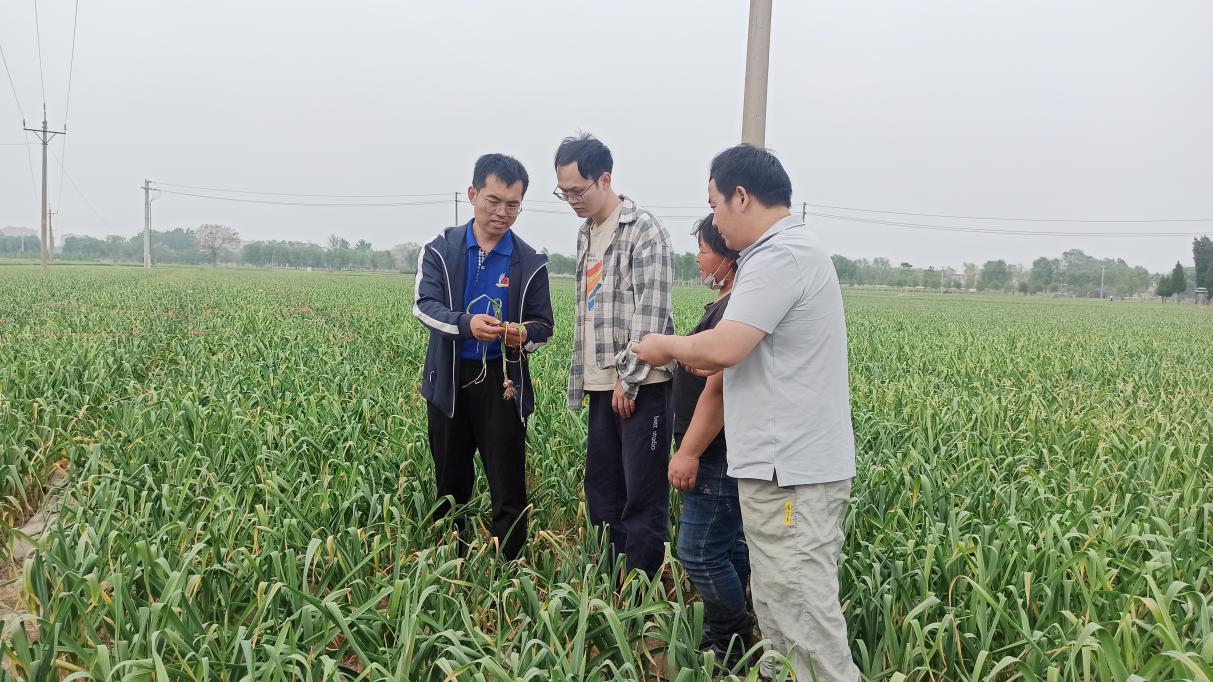 ���ߵ����˿��ֽ�