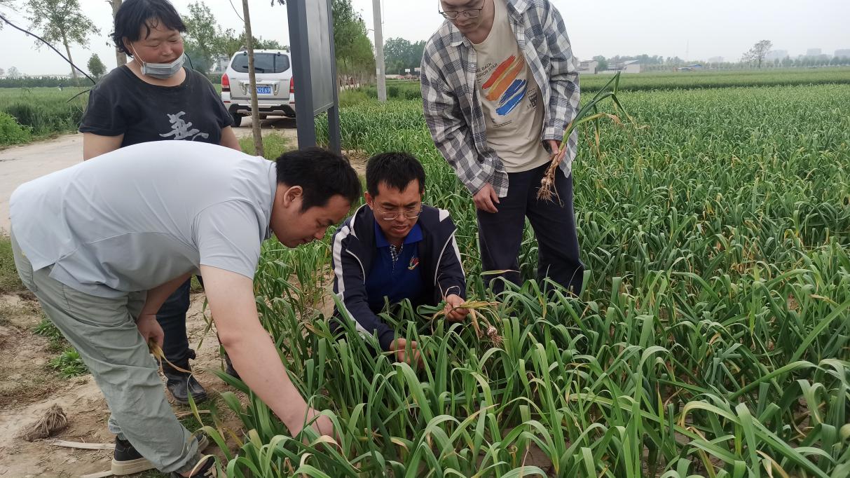 ���ߵ����˿��ֽ�