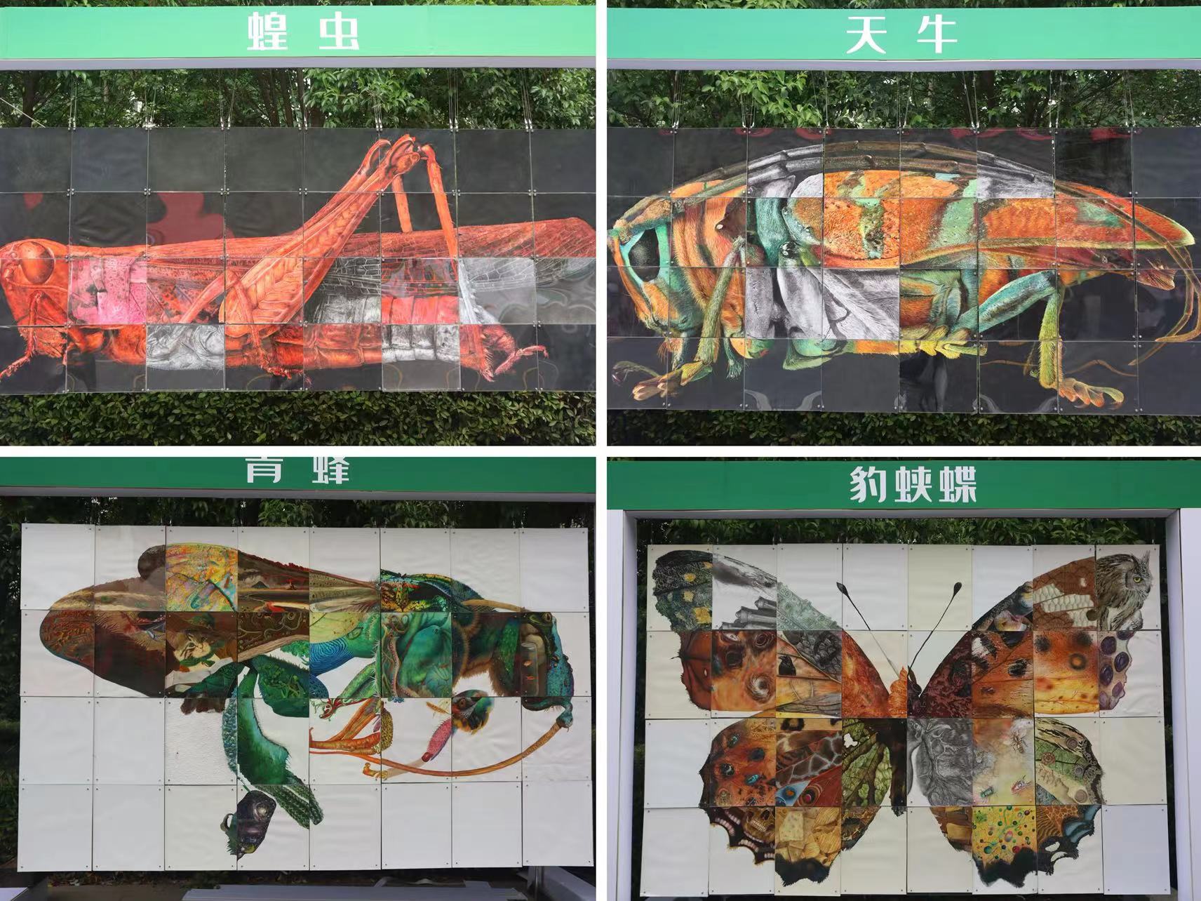 在线德州扑克现金