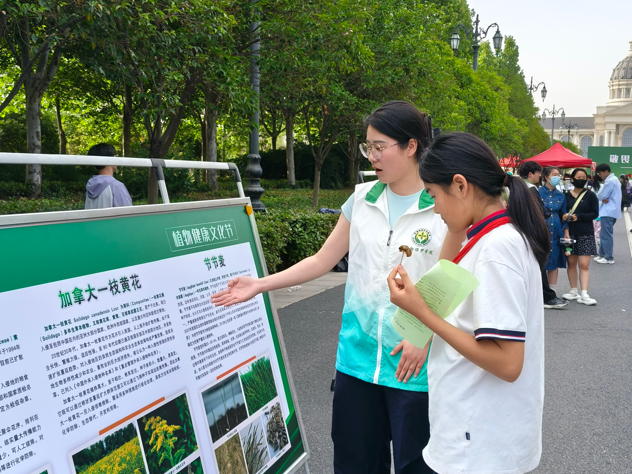 在线德州扑克现金