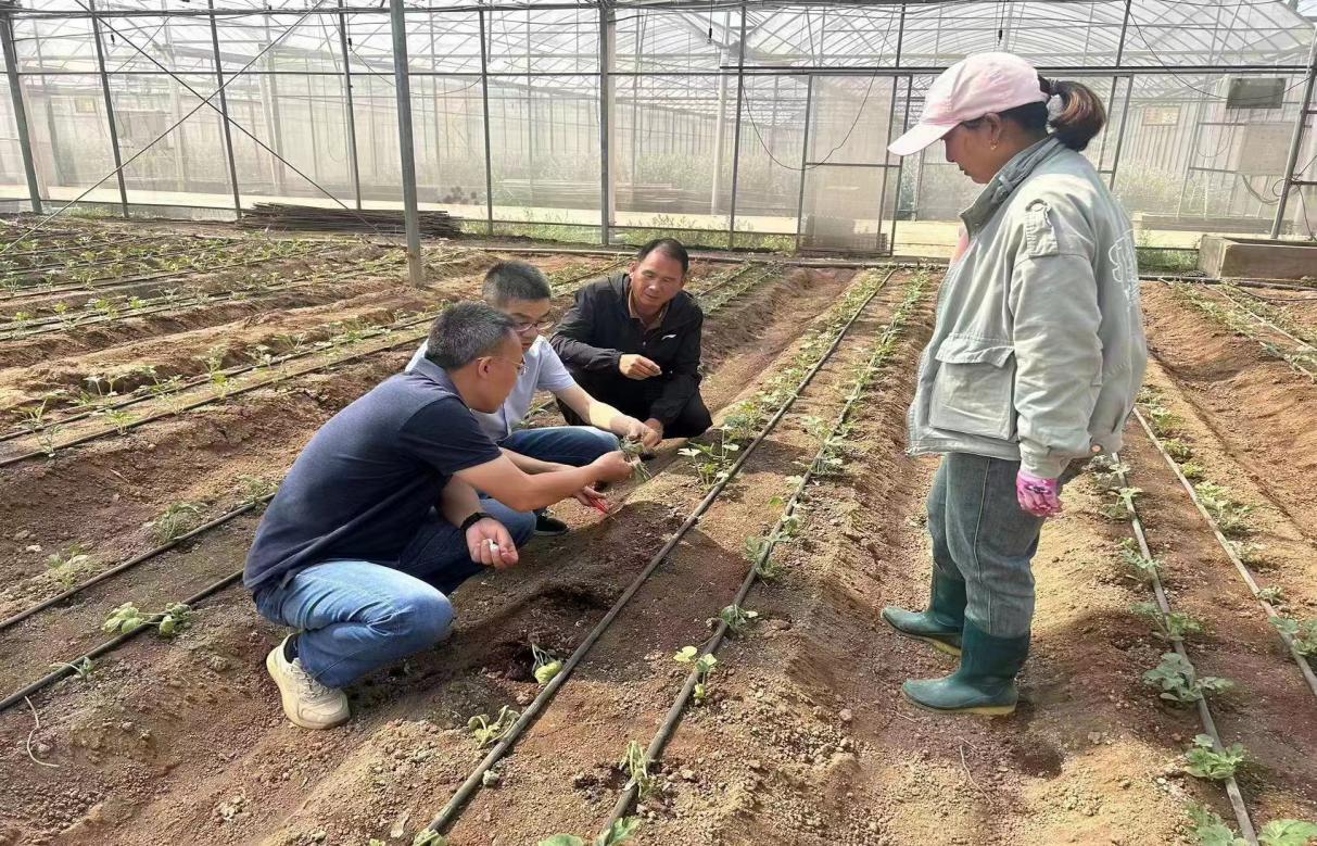 ���ߵ����˿��ֽ�