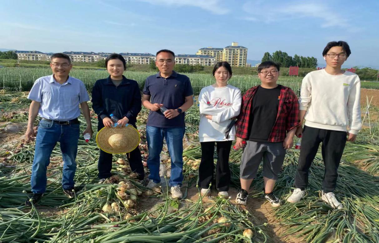 ���ߵ����˿��ֽ�