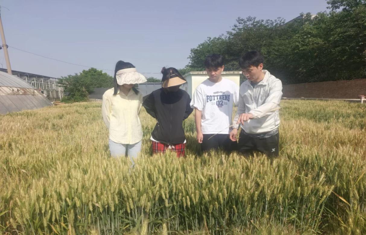 ���ߵ����˿��ֽ�