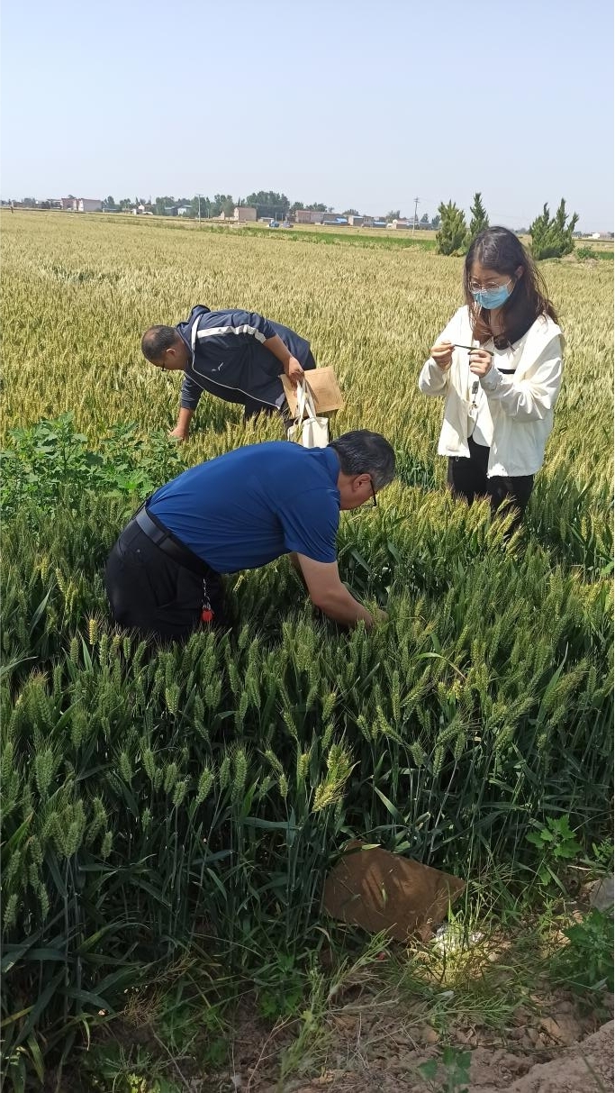 ���ߵ����˿��ֽ�