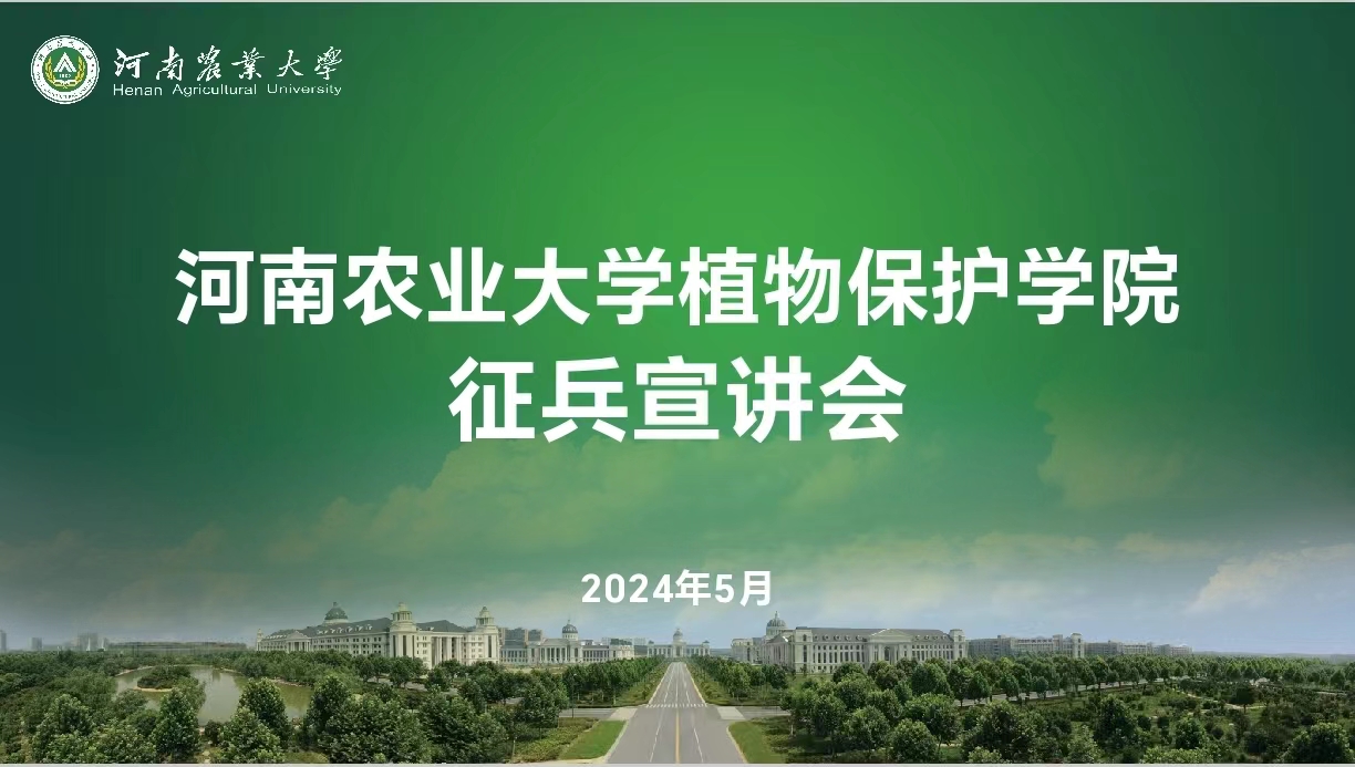 ���ߵ����˿��ֽ�