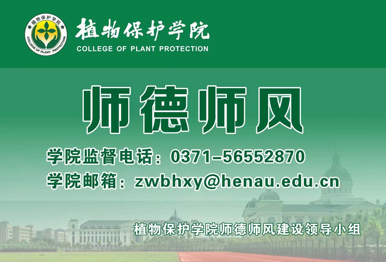 ���ߵ����˿��ֽ�