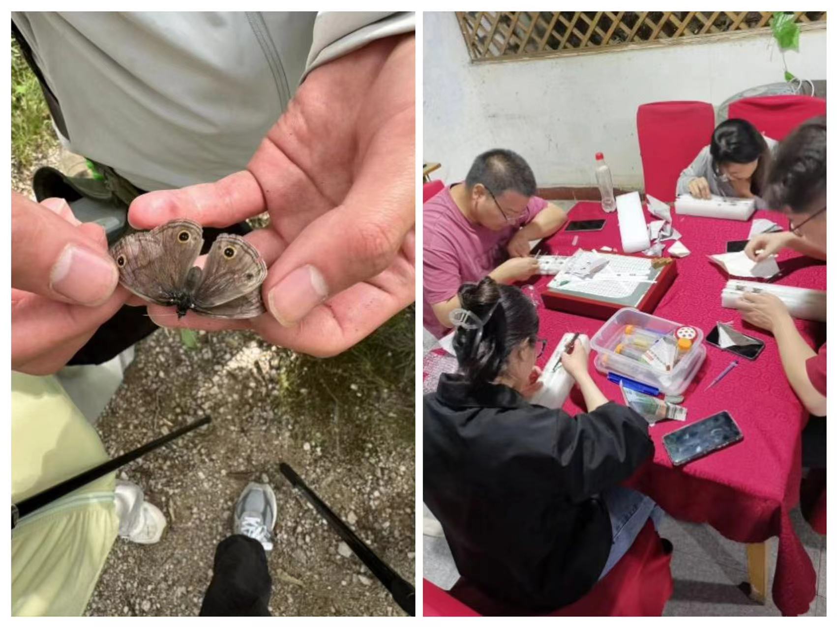 在线德州扑克现金