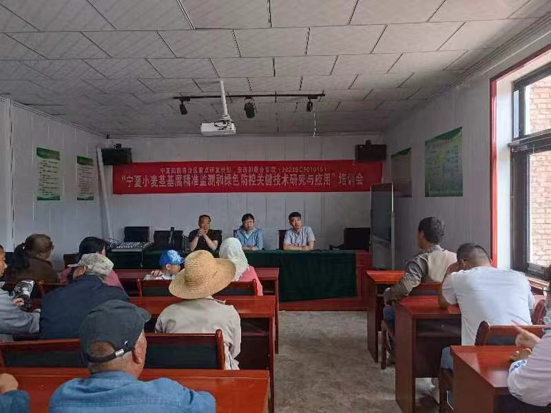 在线德州扑克现金