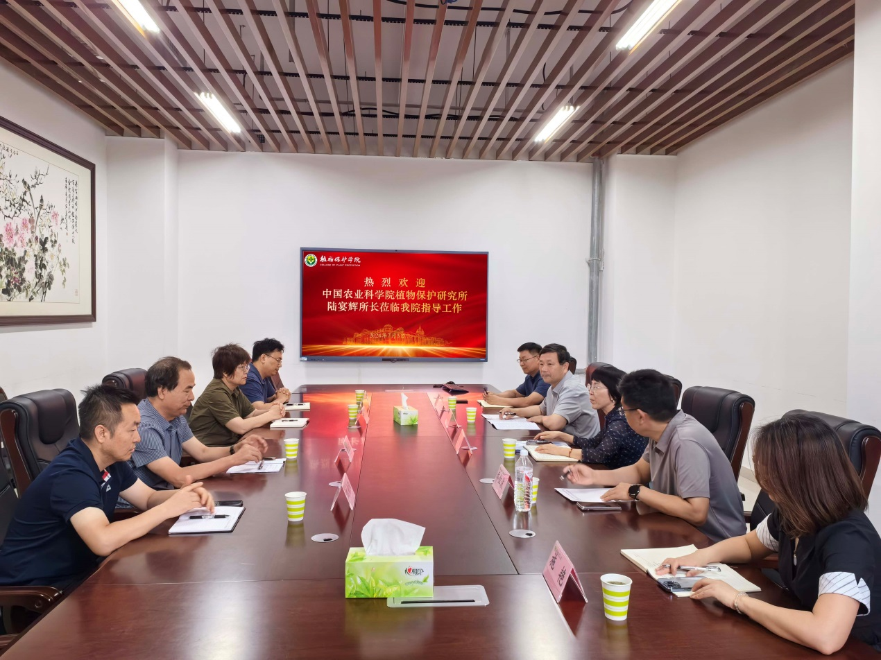 ���ߵ����˿��ֽ�