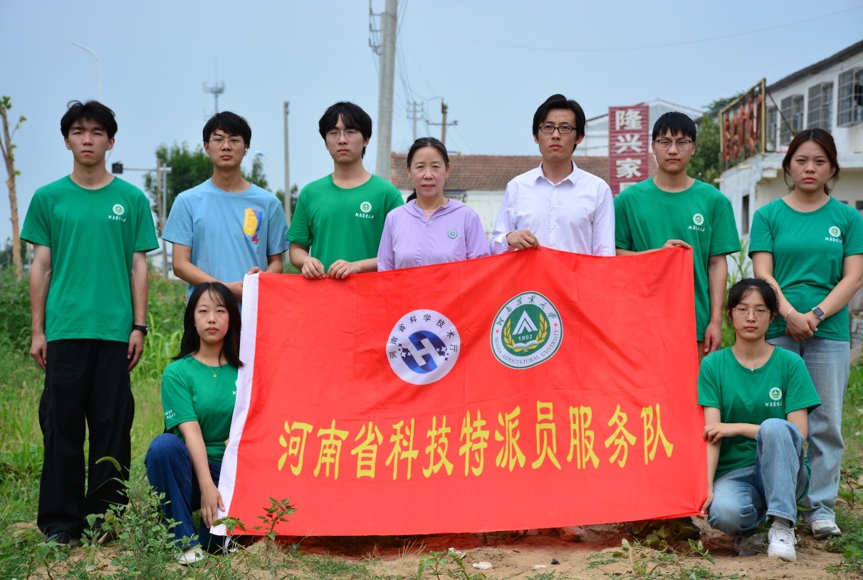 ���ߵ����˿��ֽ�