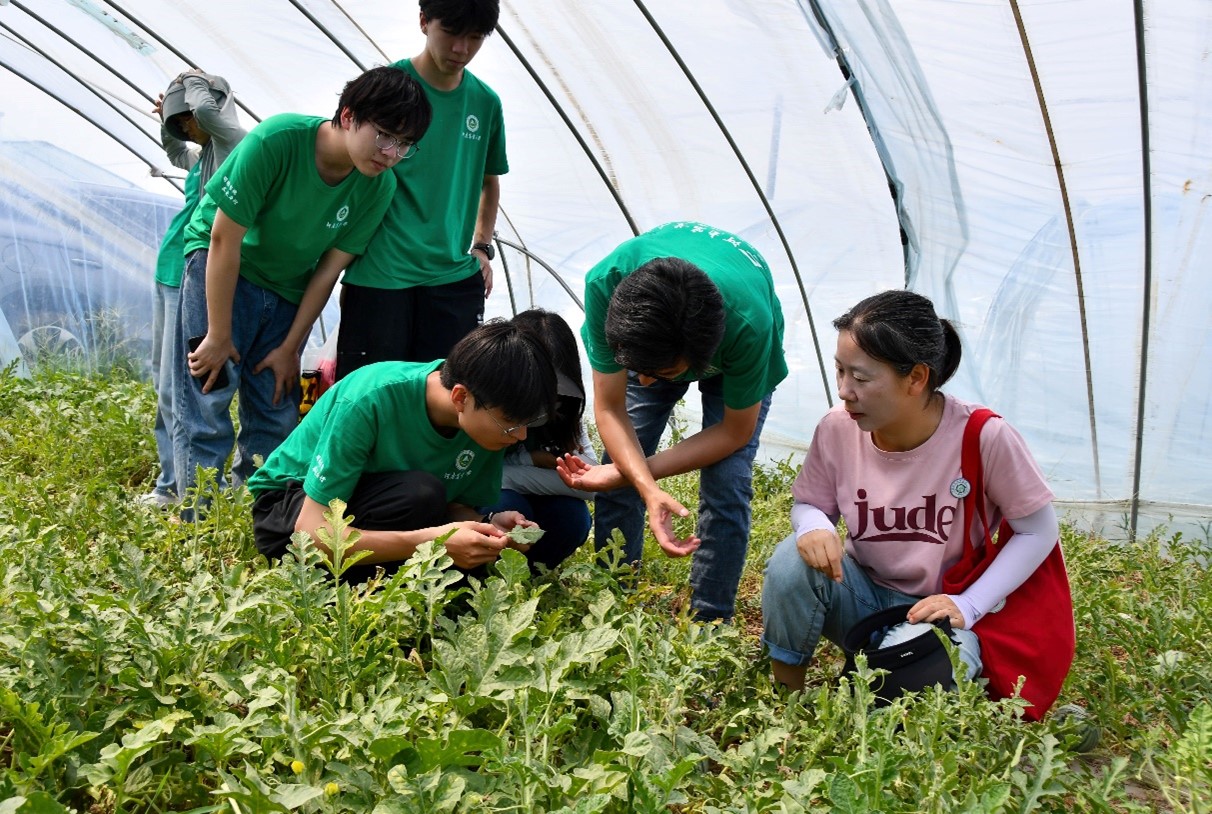 ���ߵ����˿��ֽ�