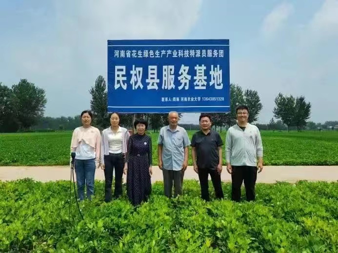 ���ߵ����˿��ֽ�