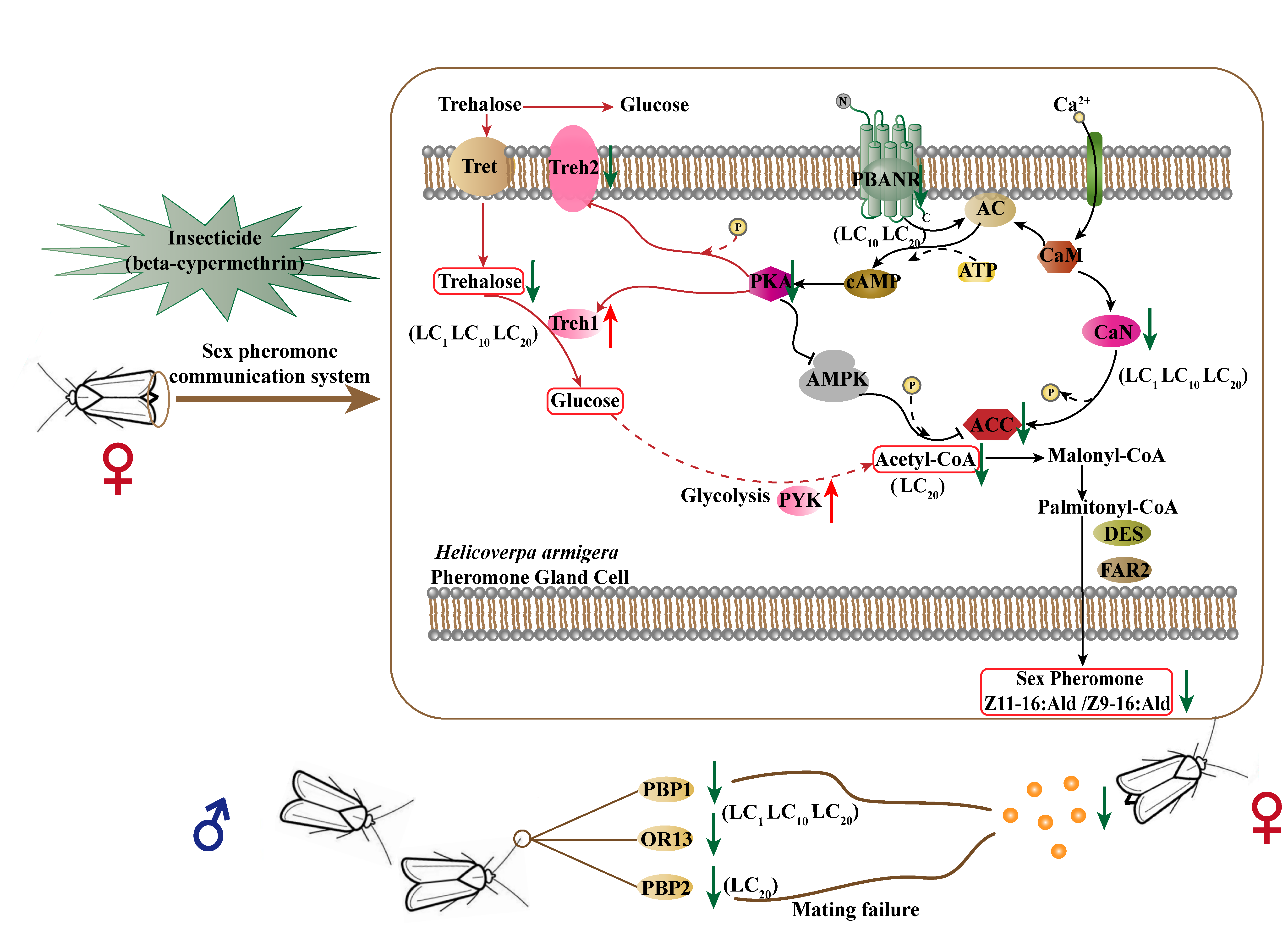 在线德州扑克现金