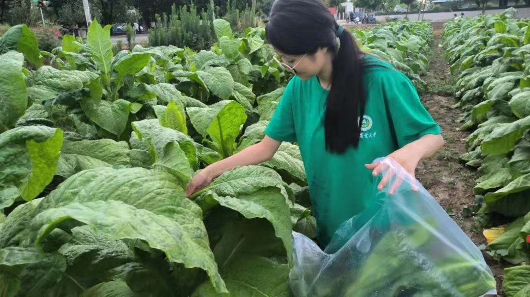 ���ߵ����˿��ֽ�