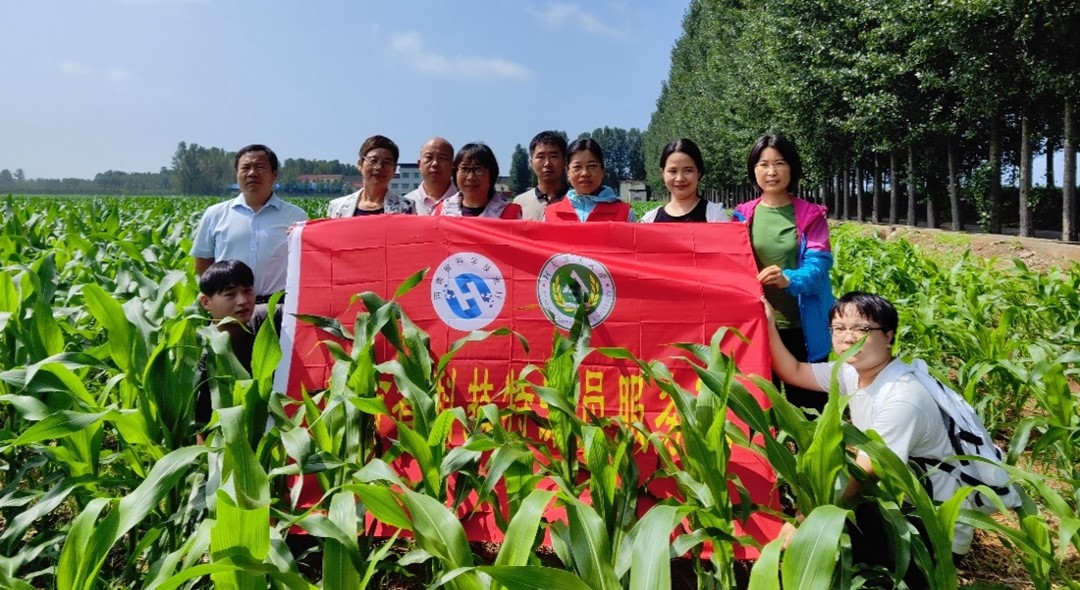 ���ߵ����˿��ֽ�