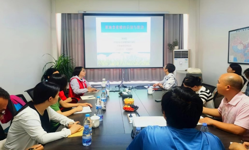 ���ߵ����˿��ֽ�