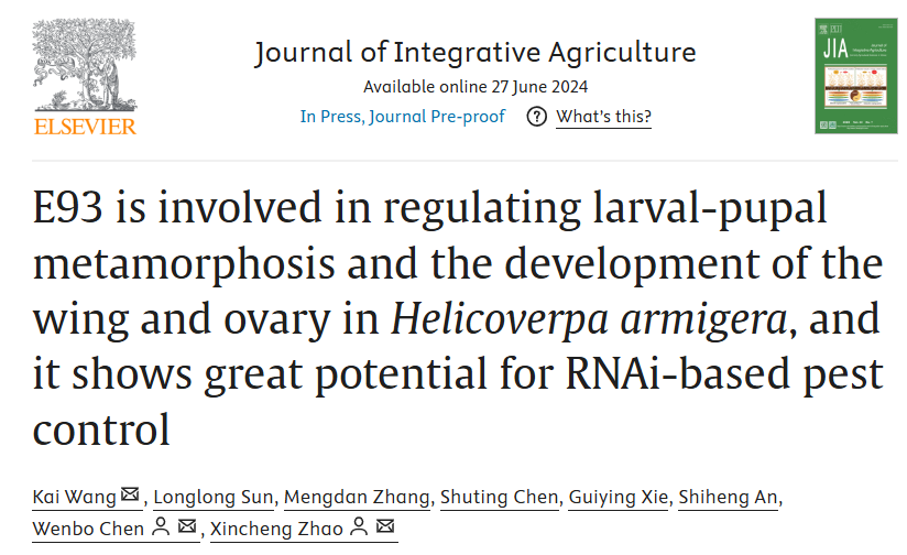 在线德州扑克现金