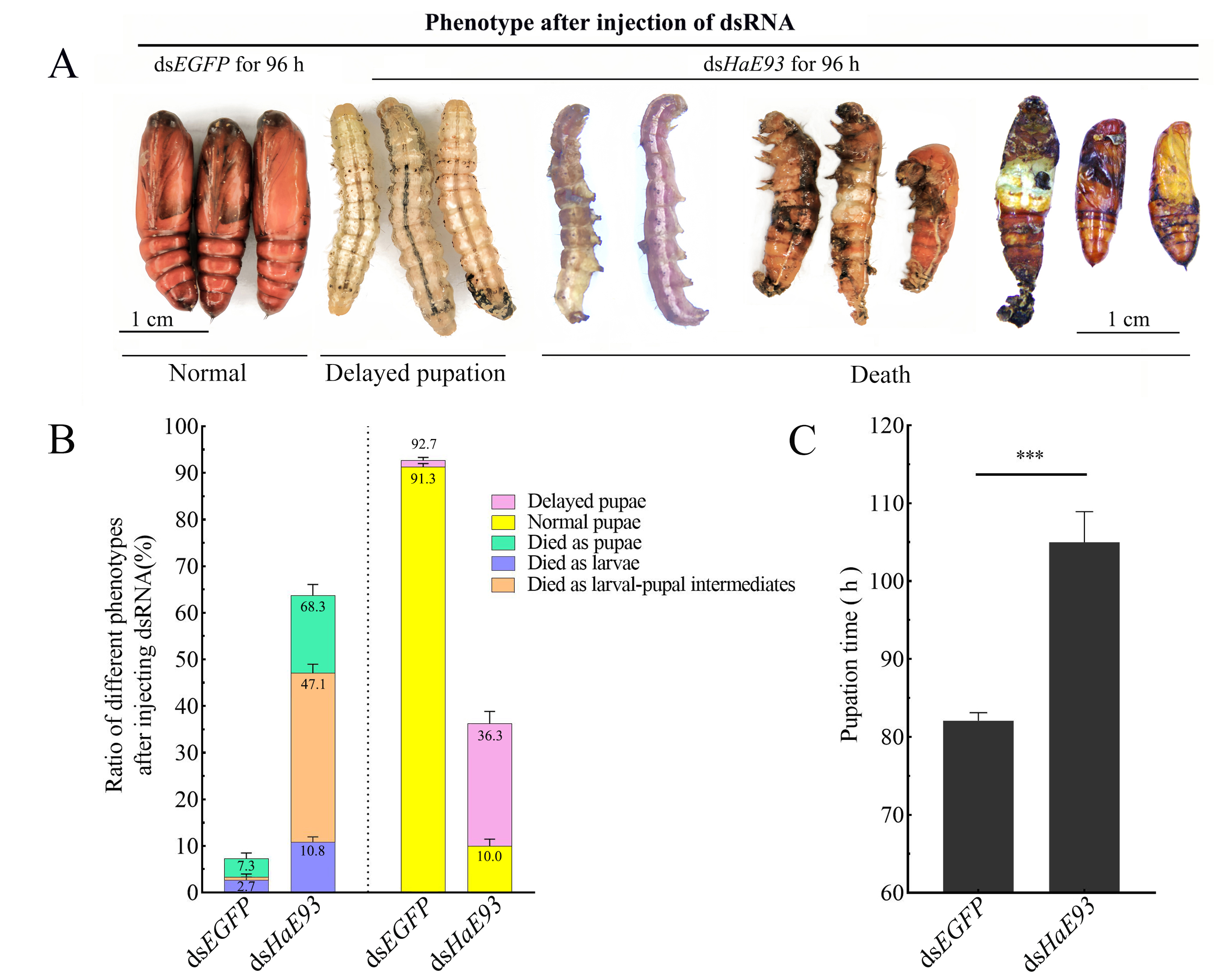 在线德州扑克现金