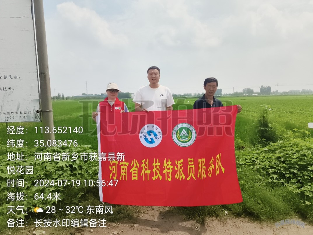 ���ߵ����˿��ֽ�