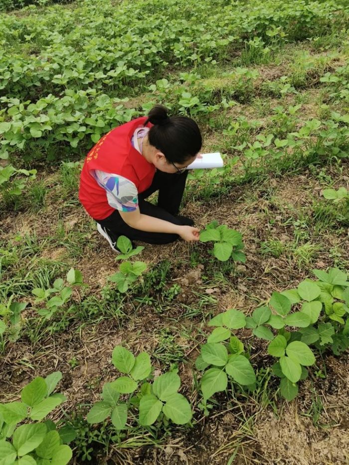 ���ߵ����˿��ֽ�