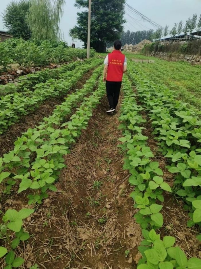 ���ߵ����˿��ֽ�