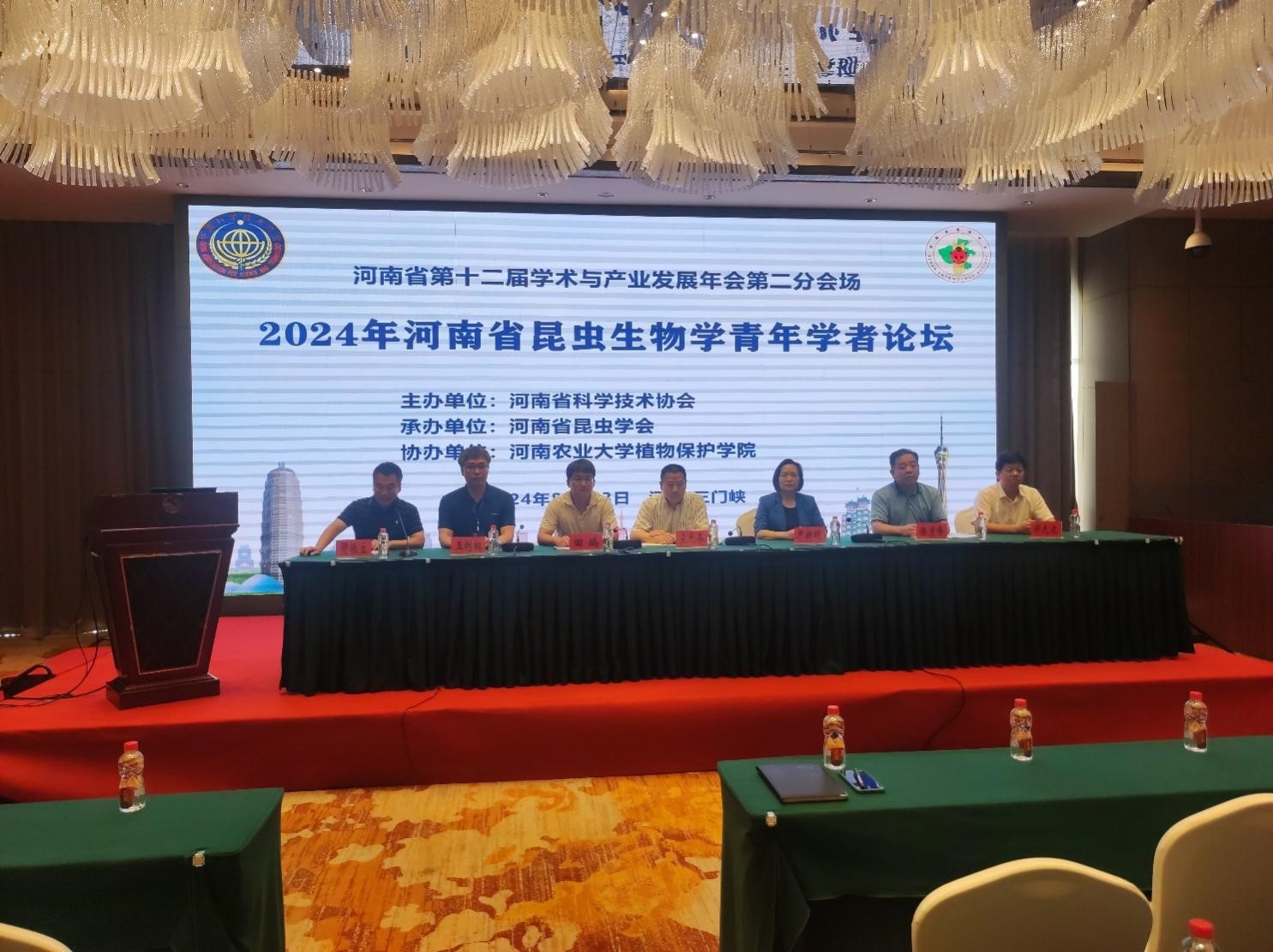 ���ߵ����˿��ֽ�