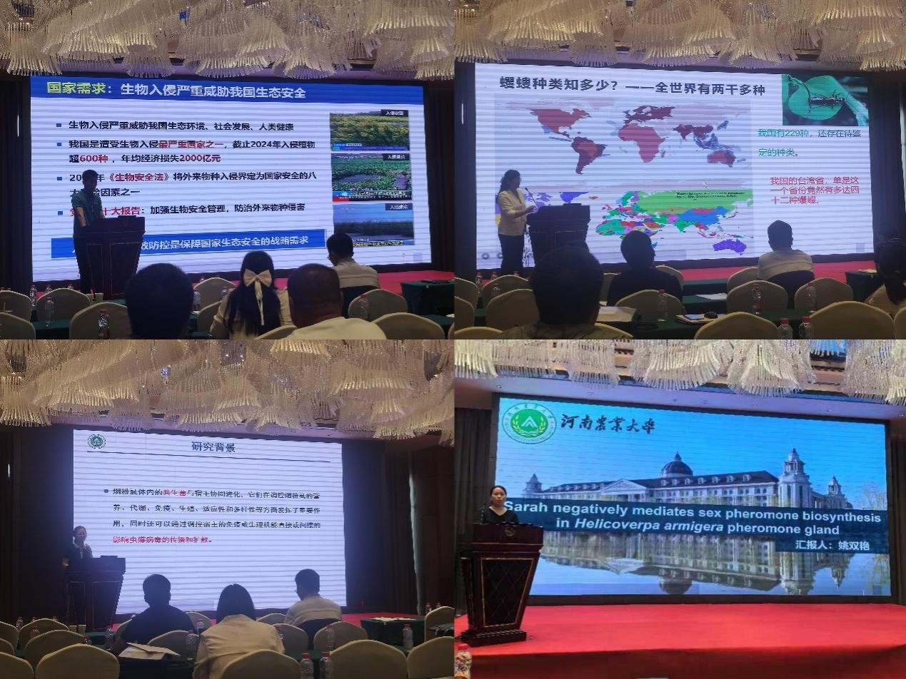 ���ߵ����˿��ֽ�