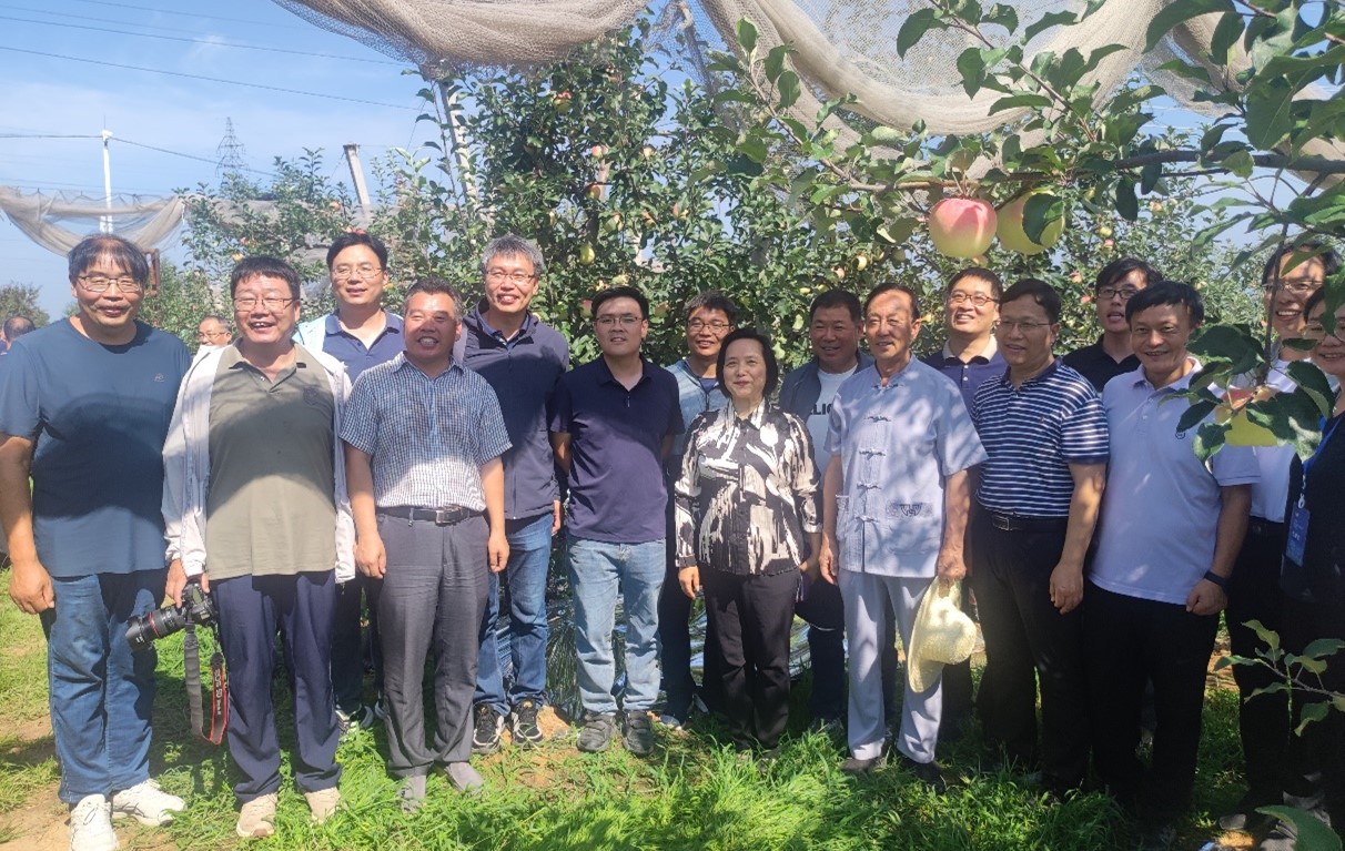 ���ߵ����˿��ֽ�