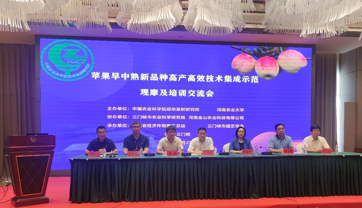 ���ߵ����˿��ֽ�