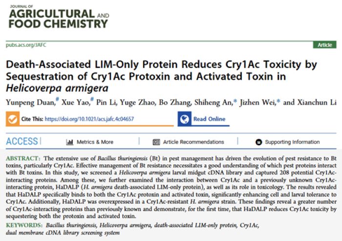 ���ߵ����˿��ֽ�