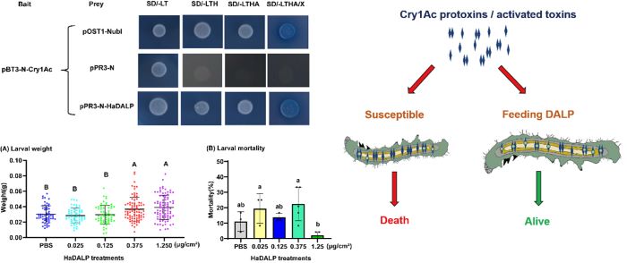 ���ߵ����˿��ֽ�