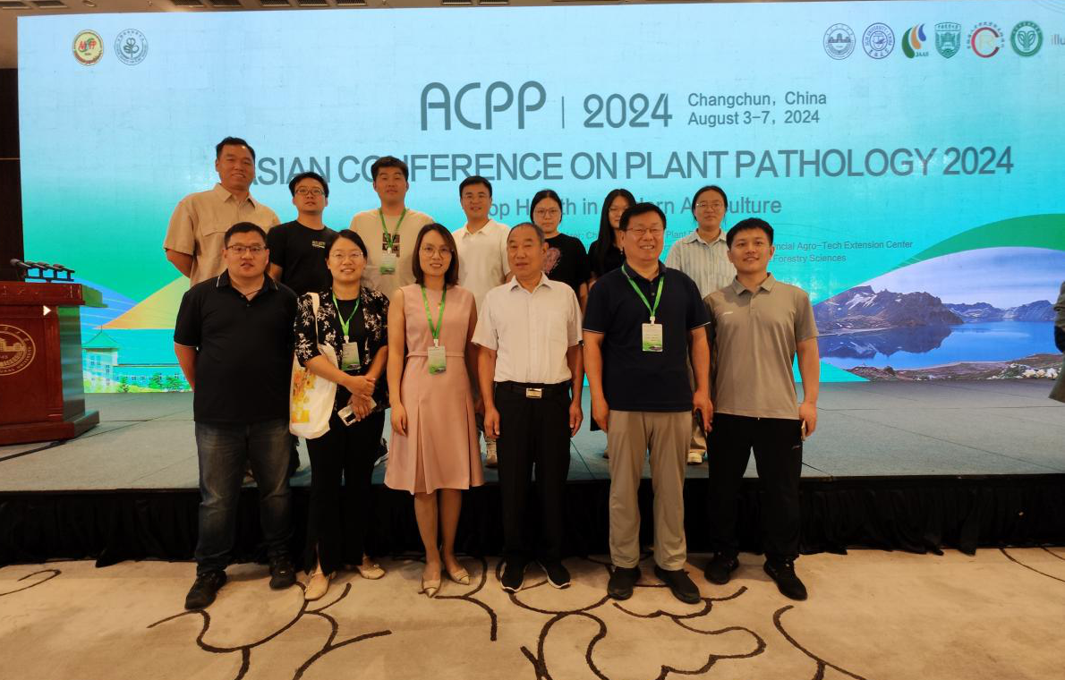 ���ߵ����˿��ֽ�