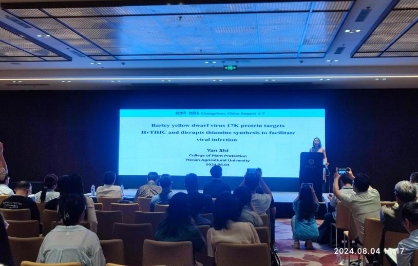 ���ߵ����˿��ֽ�