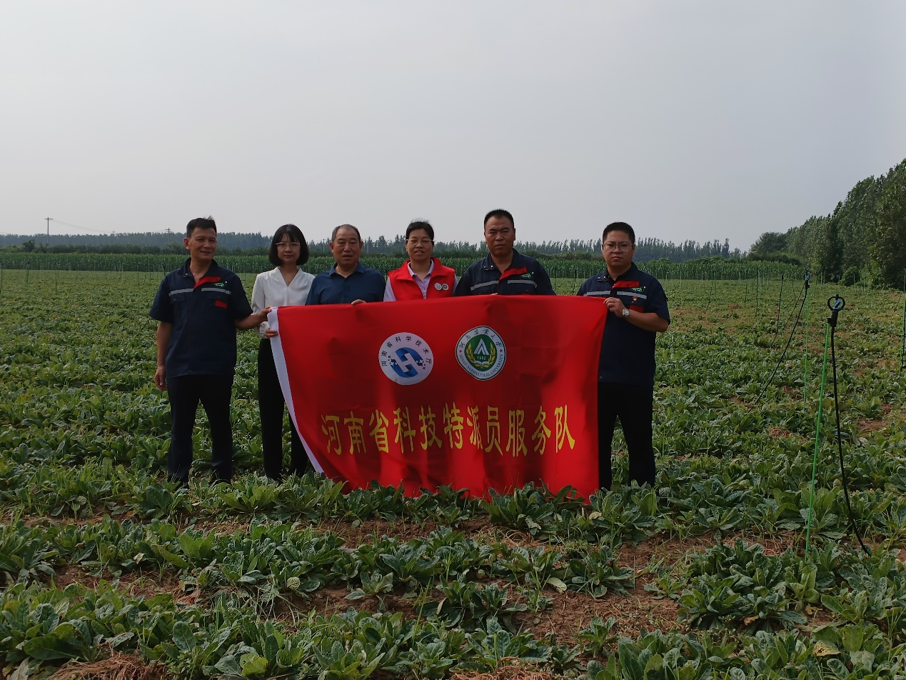 ���ߵ����˿��ֽ�