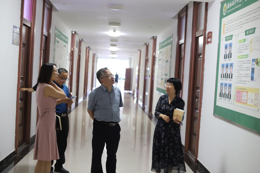 ���ߵ����˿��ֽ�