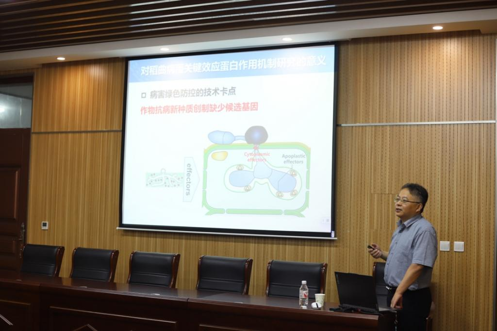 ���ߵ����˿��ֽ�