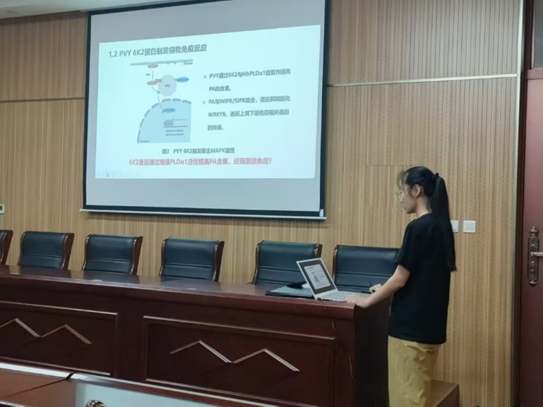 在线德州扑克现金