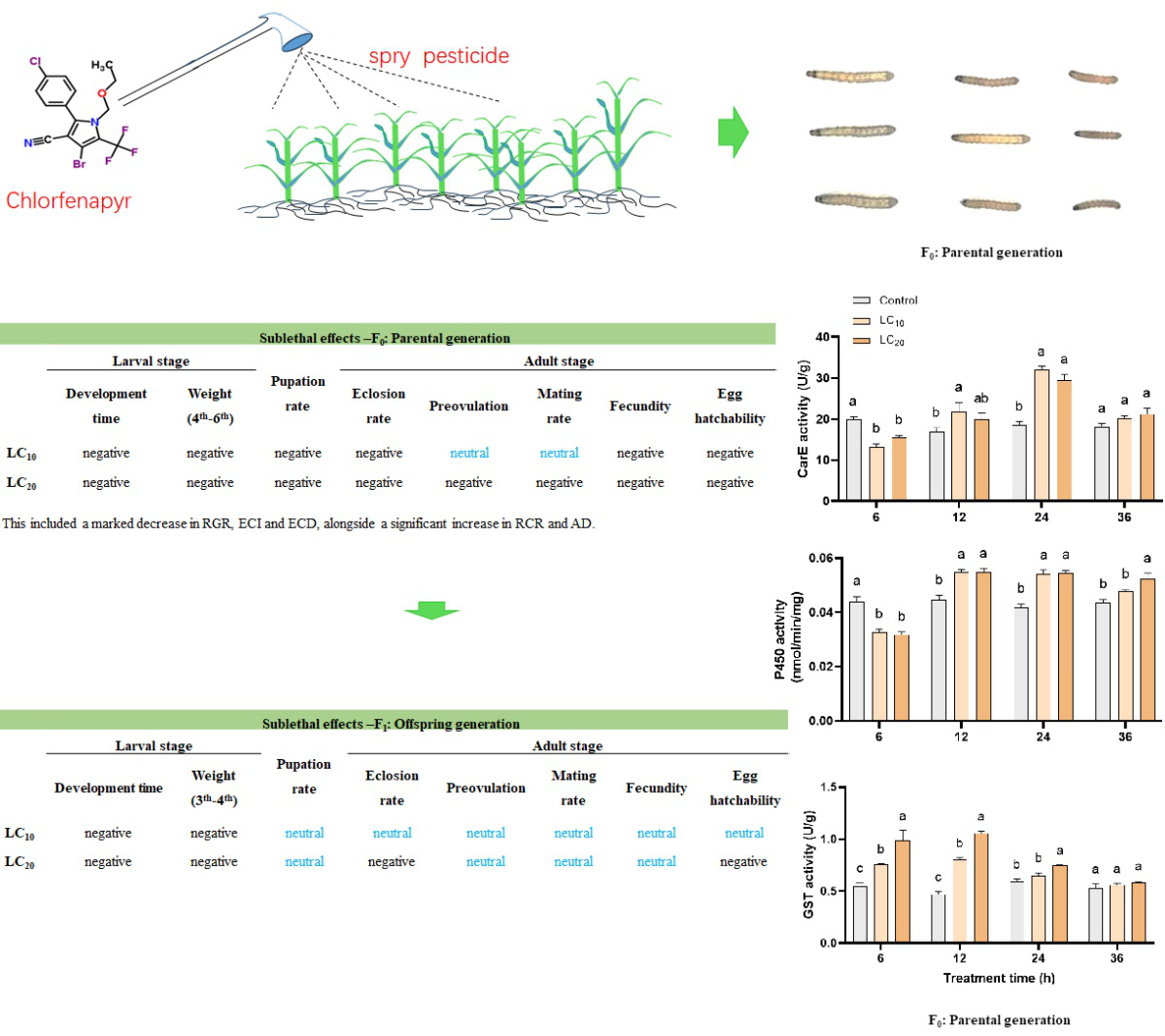 ���ߵ����˿��ֽ�