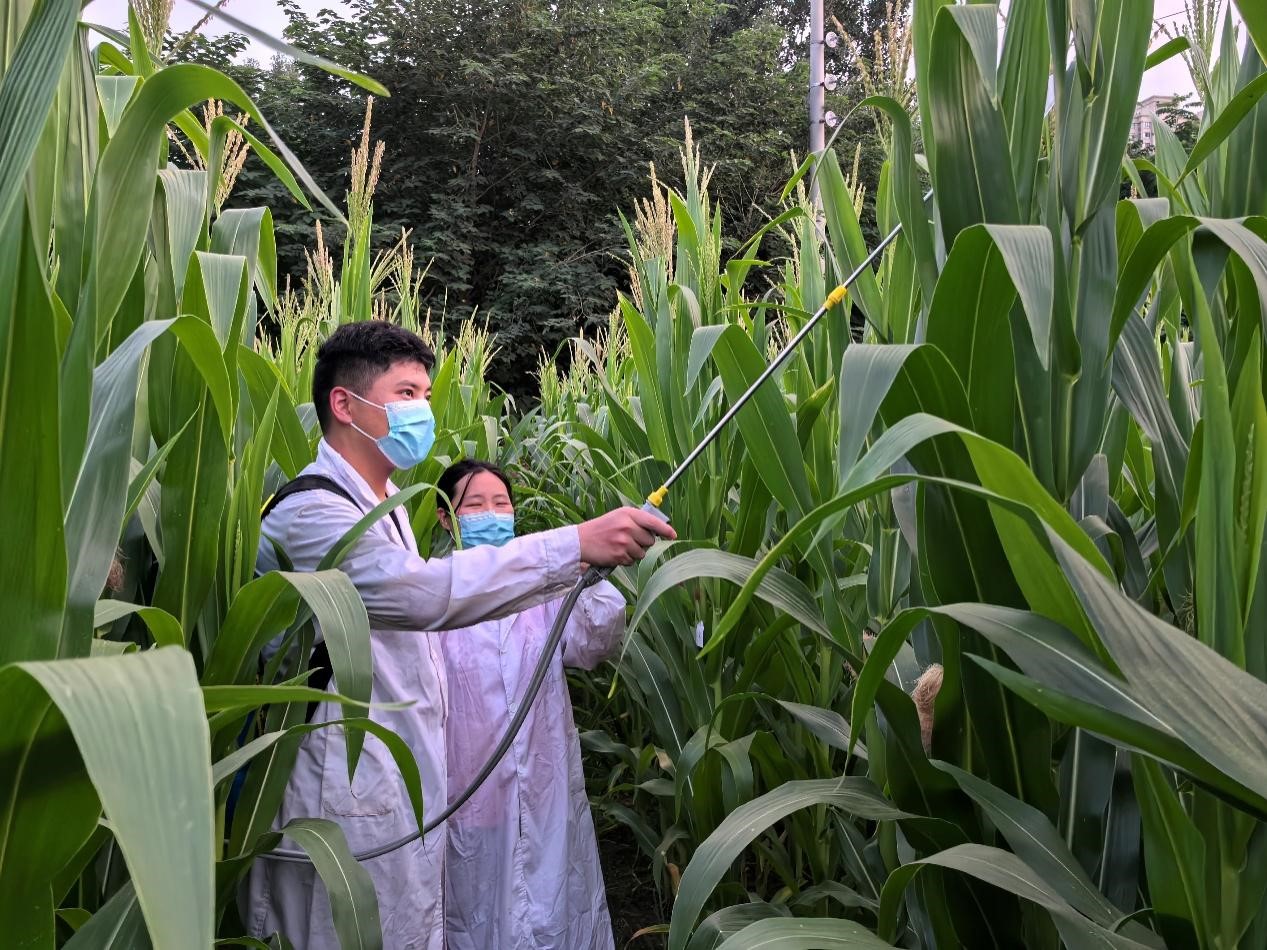 在线德州扑克现金