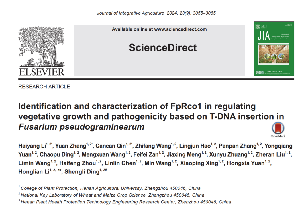 ���ߵ����˿��ֽ�