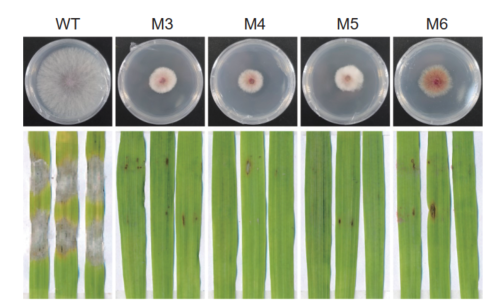 ���ߵ����˿��ֽ�