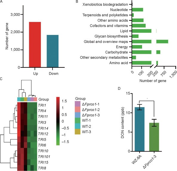 ���ߵ����˿��ֽ�