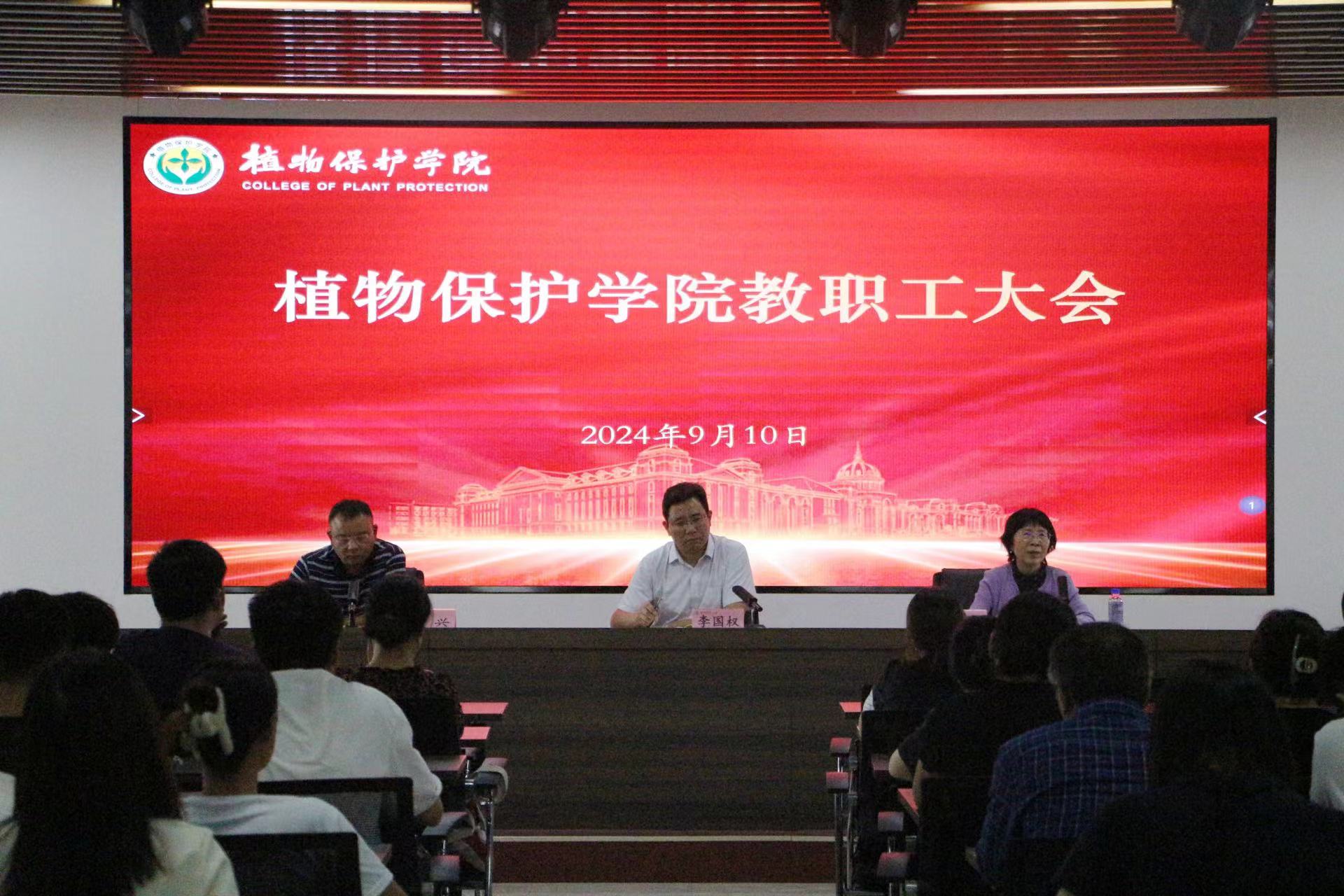 ���ߵ����˿��ֽ�